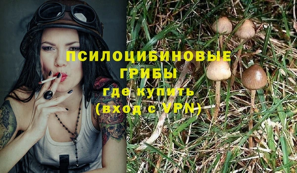 наркотики Михайловка