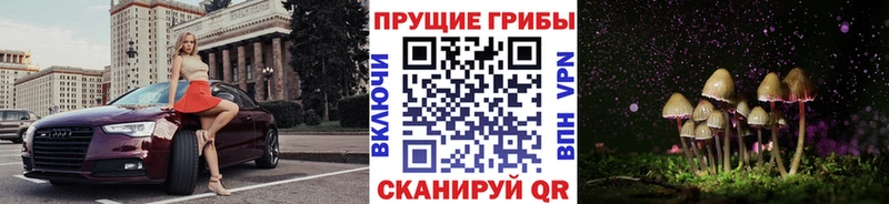 закладки  Рудня  Галлюциногенные грибы ЛСД 